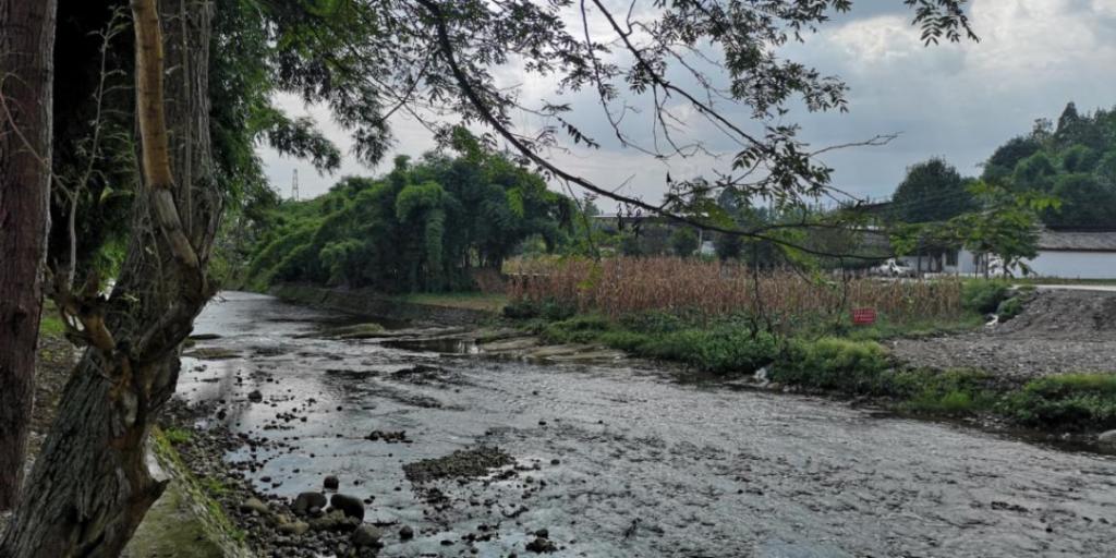 BIM建筑|这个川西林盘更新作品，为什么获国家级科学技术奖？