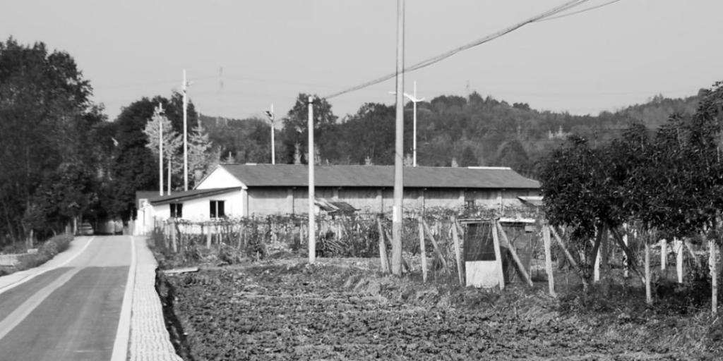 BIM建筑|这个川西林盘更新作品，为什么获国家级科学技术奖？