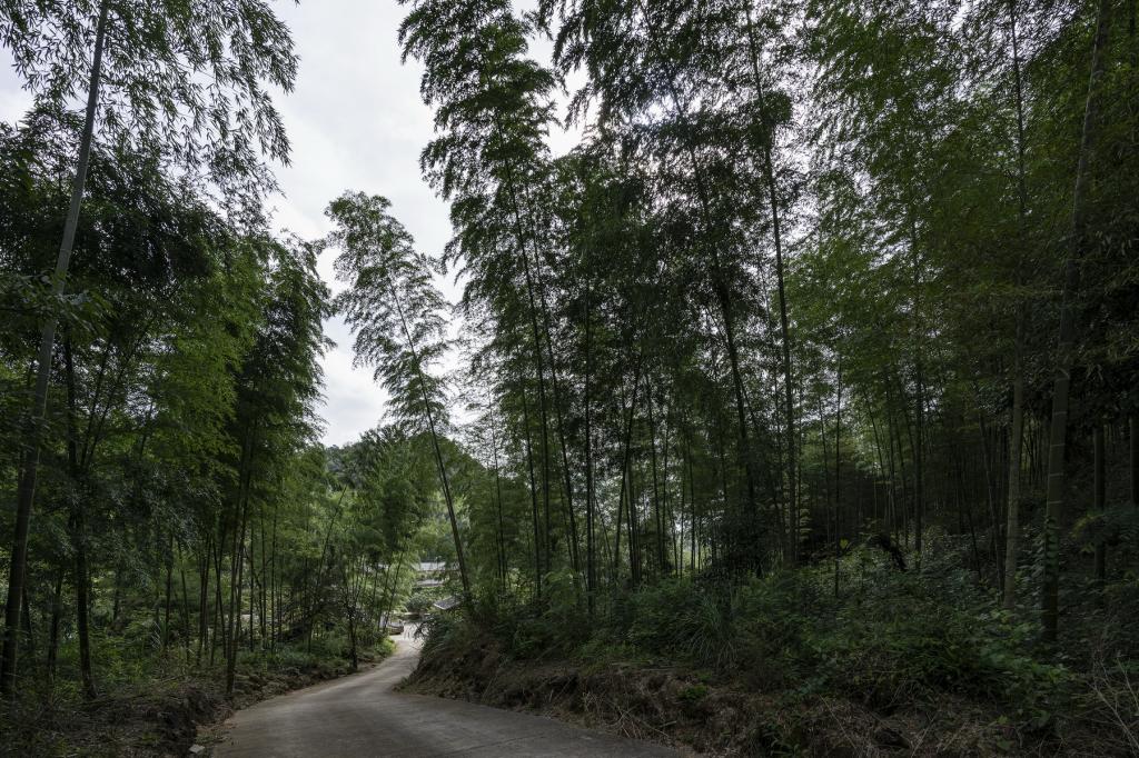 BIM建筑|山禅水定——大和禅院扩建设计 / 上海善祥建筑