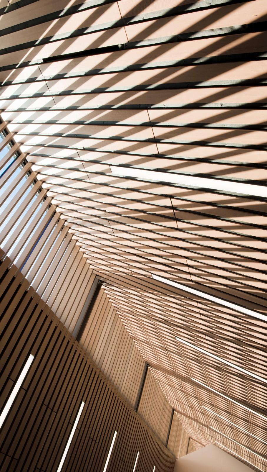 BIM建筑|卡普兰诺图书馆 / Patkau Architects + Group2