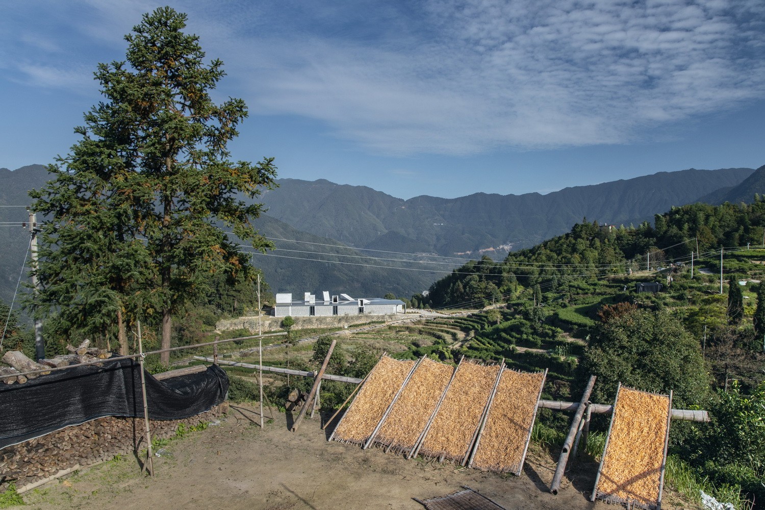 BIM建筑|景宁惠明茶工坊/ DnA_Design and Architecture