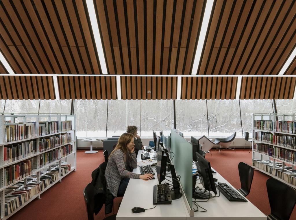 BIM建筑|卡普兰诺图书馆 / Patkau Architects + Group2