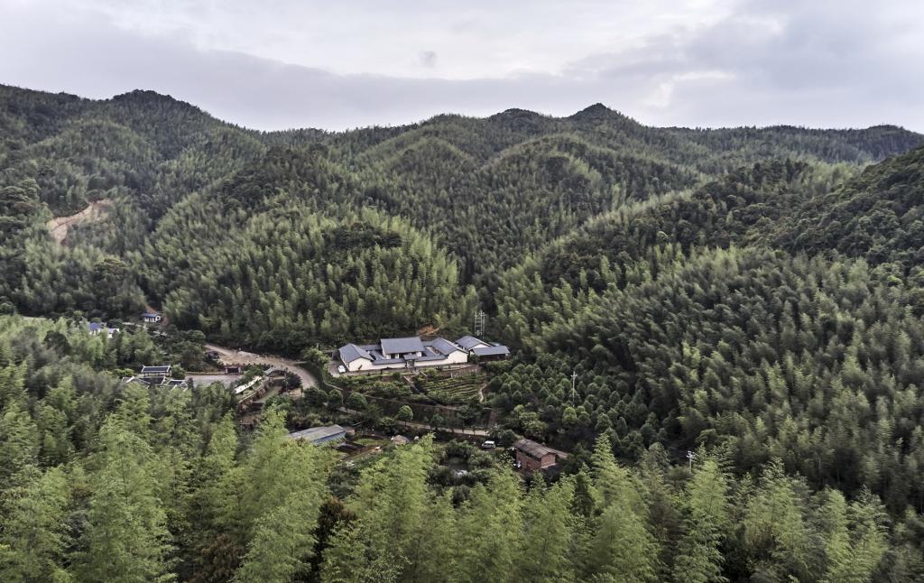 BIM建筑|山禅水定——大和禅院扩建设计 / 上海善祥建筑