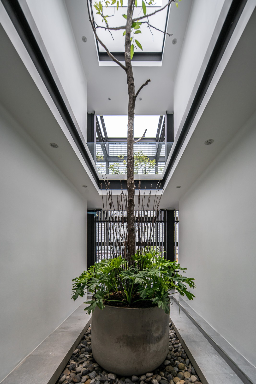 BIM建筑|玻璃砖构筑的美容诊所 / Sute Architect