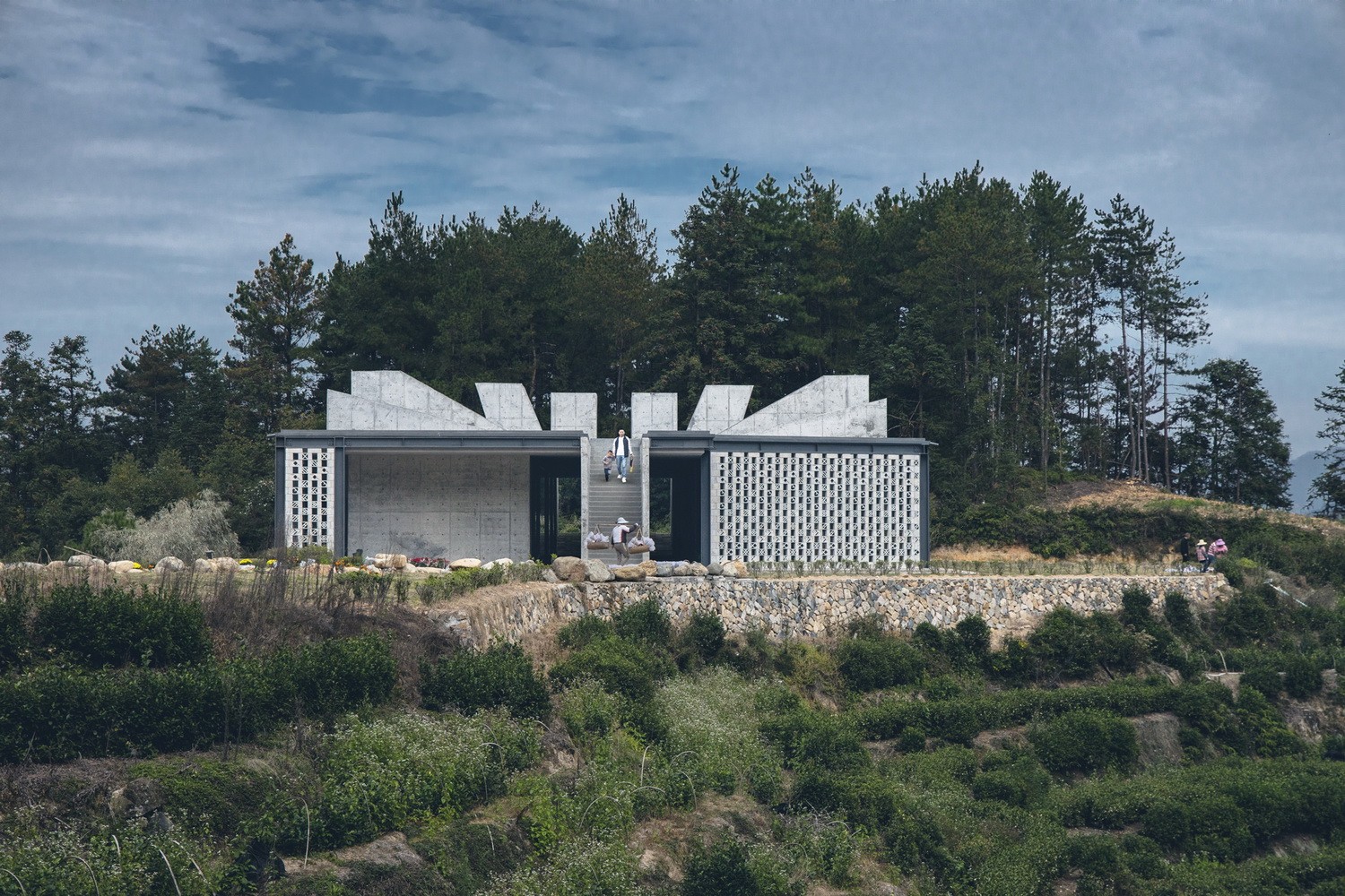 BIM建筑|景宁惠明茶工坊/ DnA_Design and Architecture