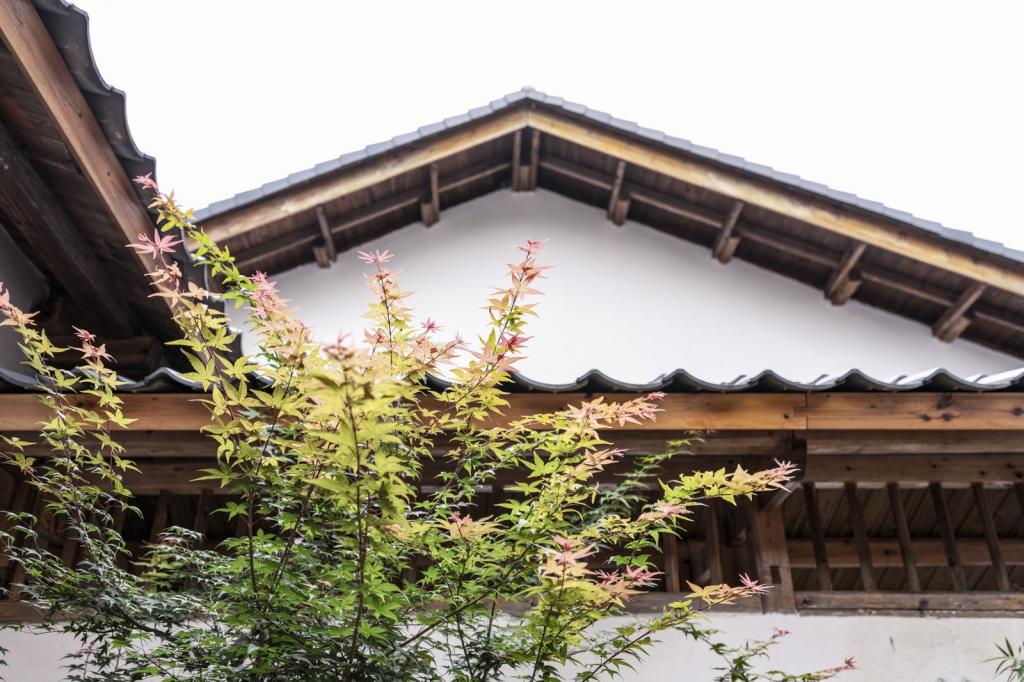 BIM建筑|山禅水定——大和禅院扩建设计 / 上海善祥建筑