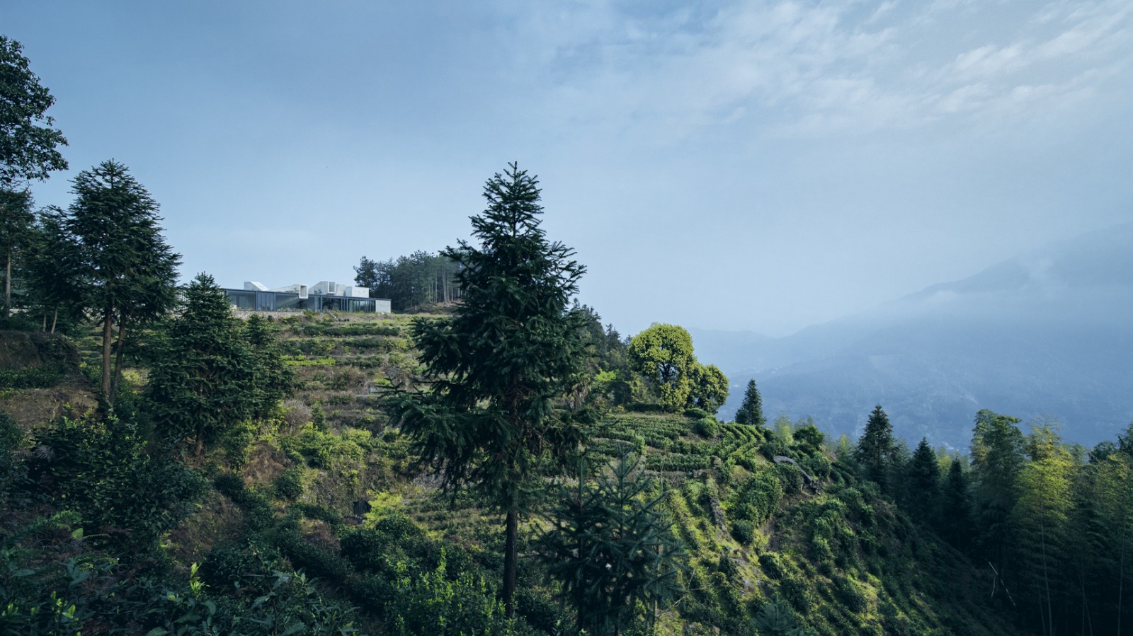 BIM建筑|景宁惠明茶工坊/ DnA_Design and Architecture