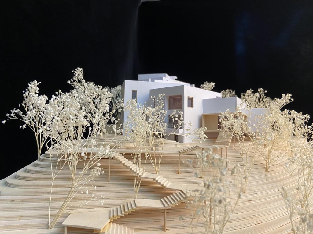 BIM建筑|高山流水 松林里的红色石屋 / 素建筑设计事务所