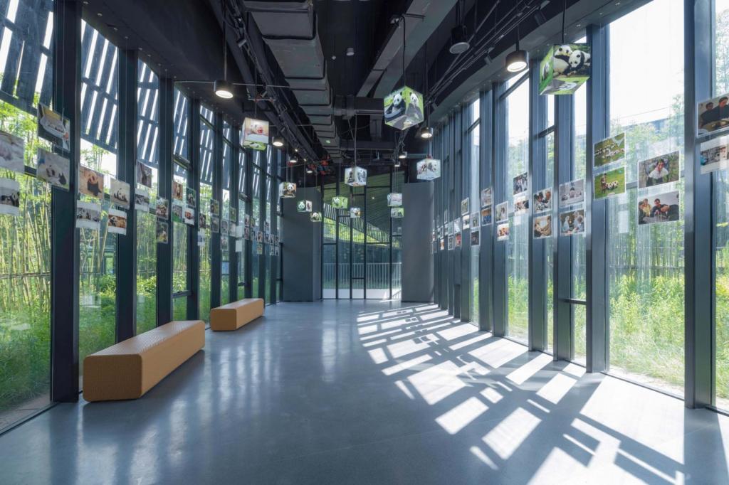 BIM建筑|大熊猫国家公园雅安科普教育中心 / 中国建筑西南设计研究院