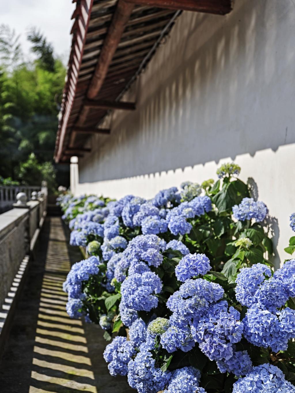 BIM建筑|山禅水定——大和禅院扩建设计 / 上海善祥建筑