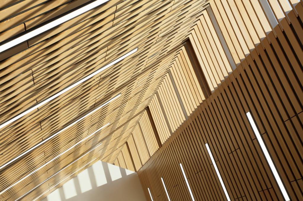 BIM建筑|卡普兰诺图书馆 / Patkau Architects + Group2