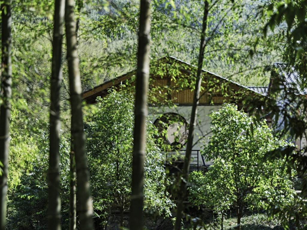 BIM建筑|山禅水定——大和禅院扩建设计 / 上海善祥建筑