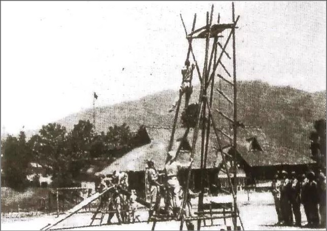 BIM建筑|这个川西林盘更新作品，为什么获国家级科学技术奖？