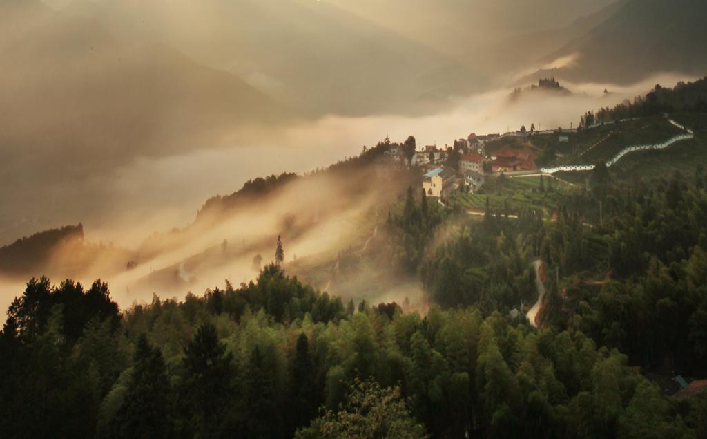 BIM建筑|景宁惠明茶工坊/ DnA_Design and Architecture