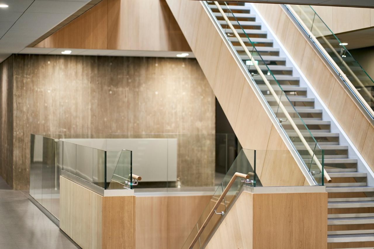 BIM建筑|Mercantec Midtbyens 体育馆 / Cubo 建筑事务所