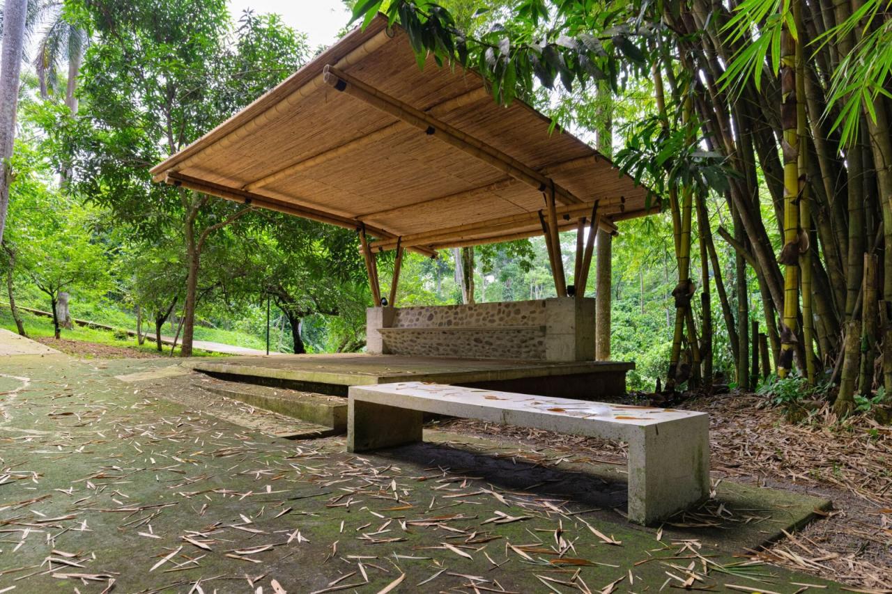 BIM建筑|墨西哥塔帕丘拉社会援助中心 / Laboratorio de Acupuntura Urbana