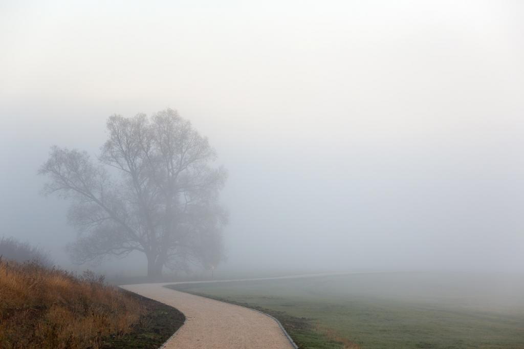 BIM建筑|库代克山公园游客接待中心 / Megabudka Architecture Bureau