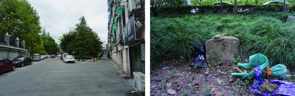 BIM建筑|建筑针灸——诗文馆 / DnA