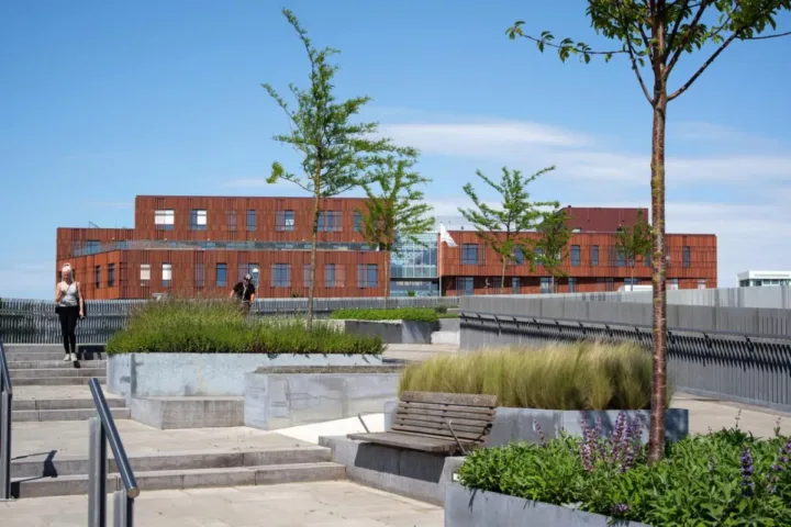BIM建筑|Mercantec Midtbyens 体育馆 / Cubo 建筑事务所
