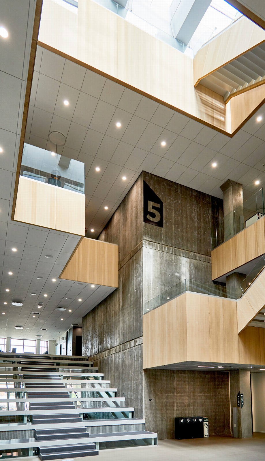 BIM建筑|Mercantec Midtbyens 体育馆 / Cubo 建筑事务所