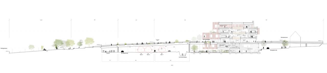 BIM建筑|Mercantec Midtbyens 体育馆 / Cubo 建筑事务所