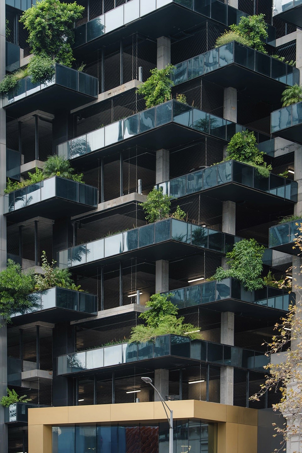 BIM建筑|Australia 108住宅塔楼，墨尔本 / Fender Katsalidis