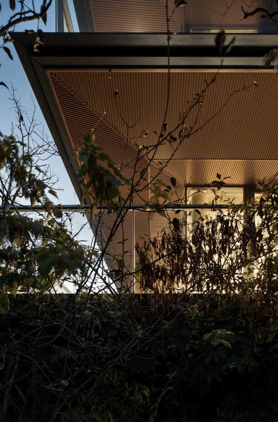 BIM建筑|自土地中生长——莫干山郡安里 / gad