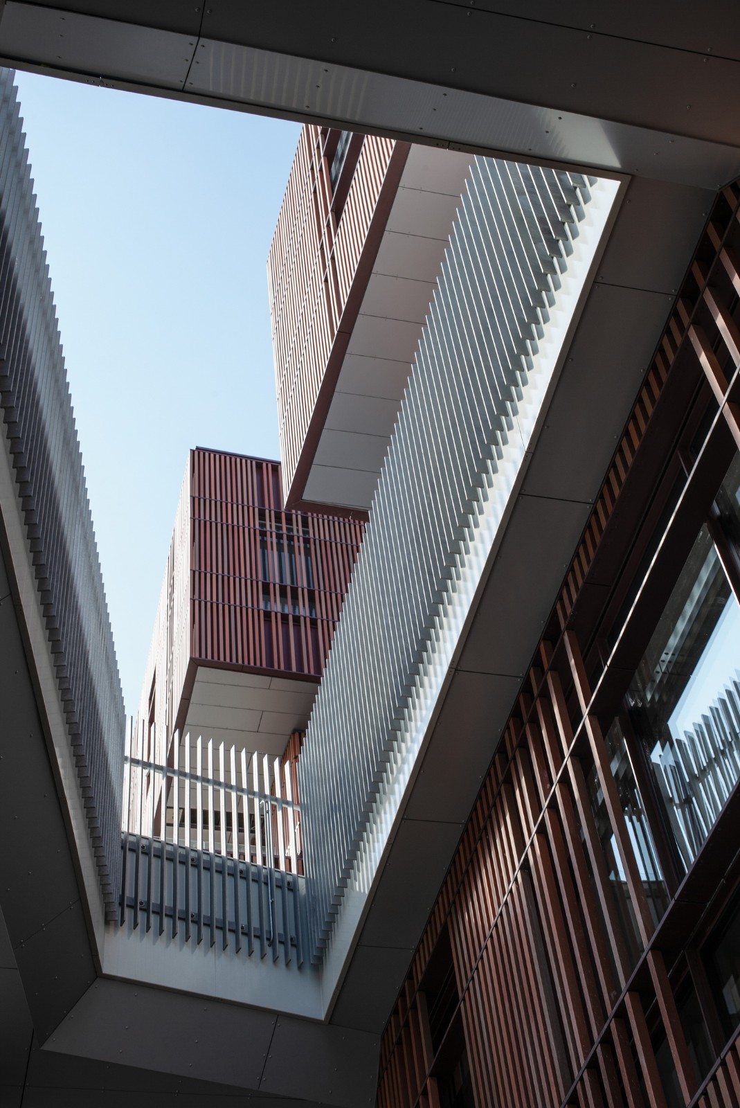 BIM建筑|Mercantec Midtbyens 体育馆 / Cubo 建筑事务所