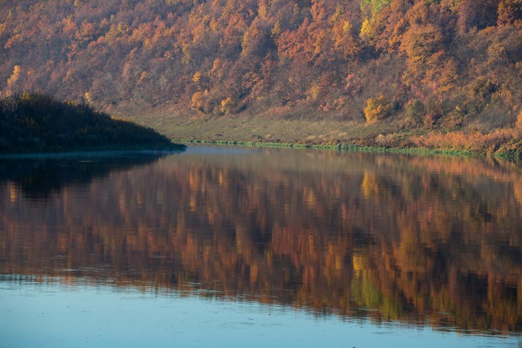 BIM建筑|库代克山公园游客接待中心 / Megabudka Architecture Bureau