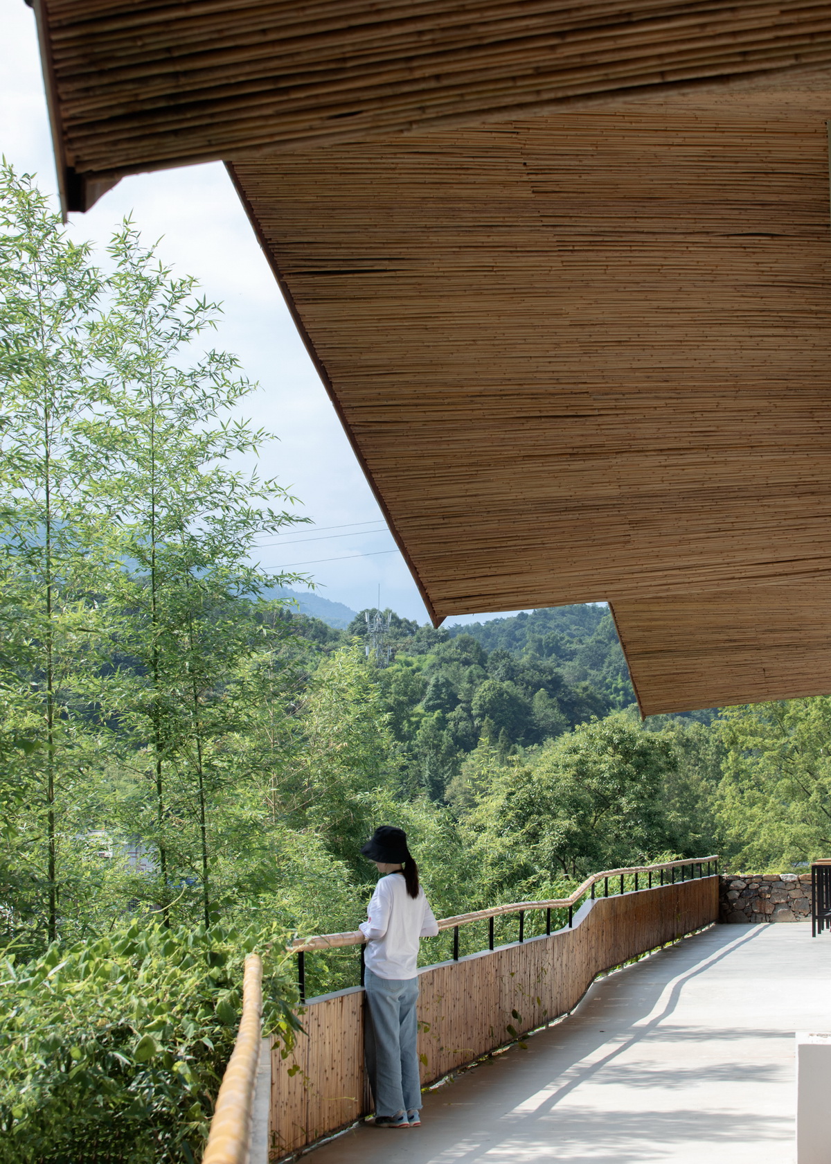 BIM建筑|在半山崖的废弃鸡棚，用峰峦“盖”一座共享工厂 / 时地建筑