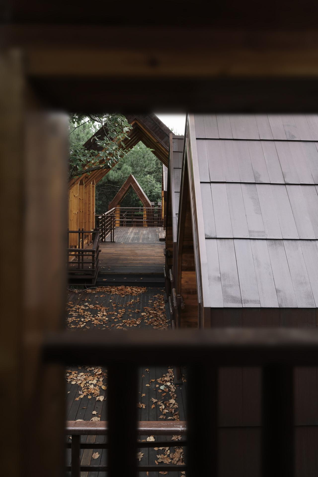 BIM建筑|木屋小镇：岛屿 · 丛林 · 小木屋，九江 / 平介设计