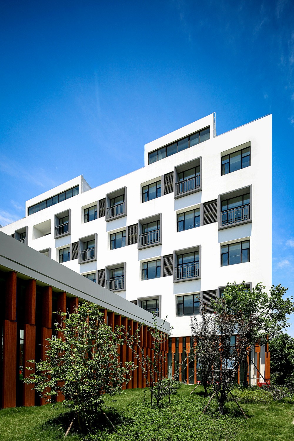 BIM建筑|赵巷康宁养护院建筑设计—这里欢迎自由的老灵魂 / 上海久利建筑事务所