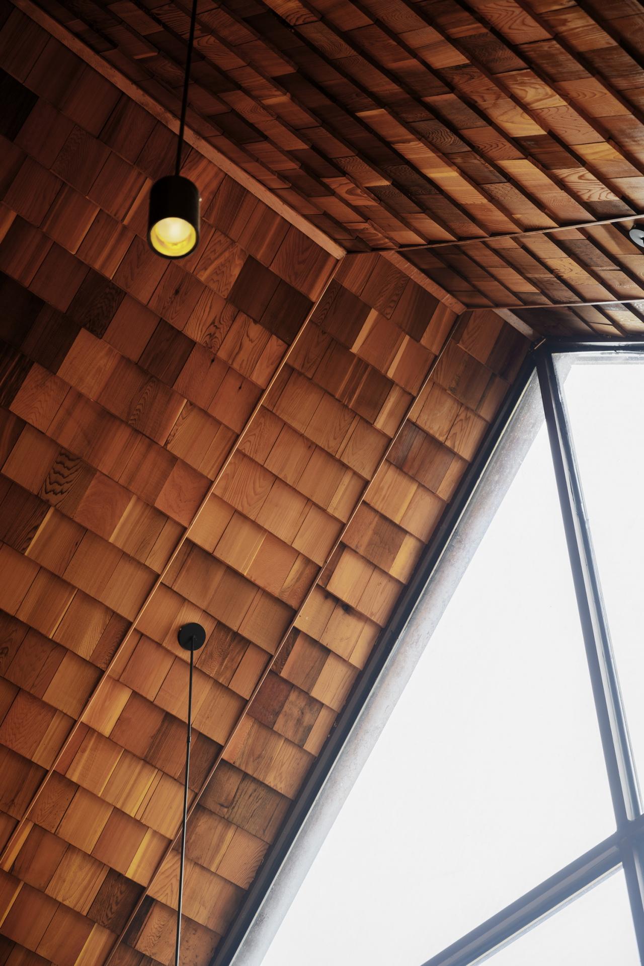 BIM建筑|木屋小镇：岛屿 · 丛林 · 小木屋，九江 / 平介设计