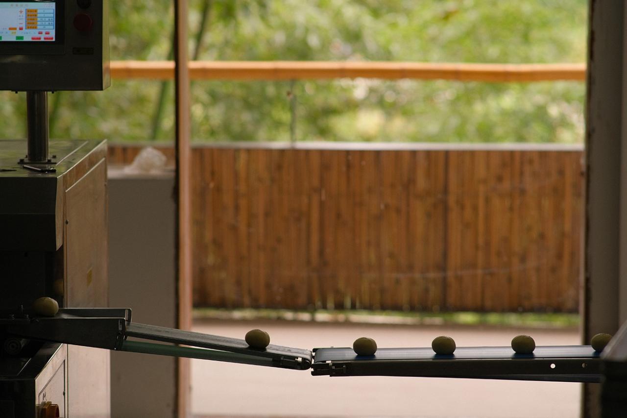 BIM建筑|在半山崖的废弃鸡棚，用峰峦“盖”一座共享工厂 / 时地建筑