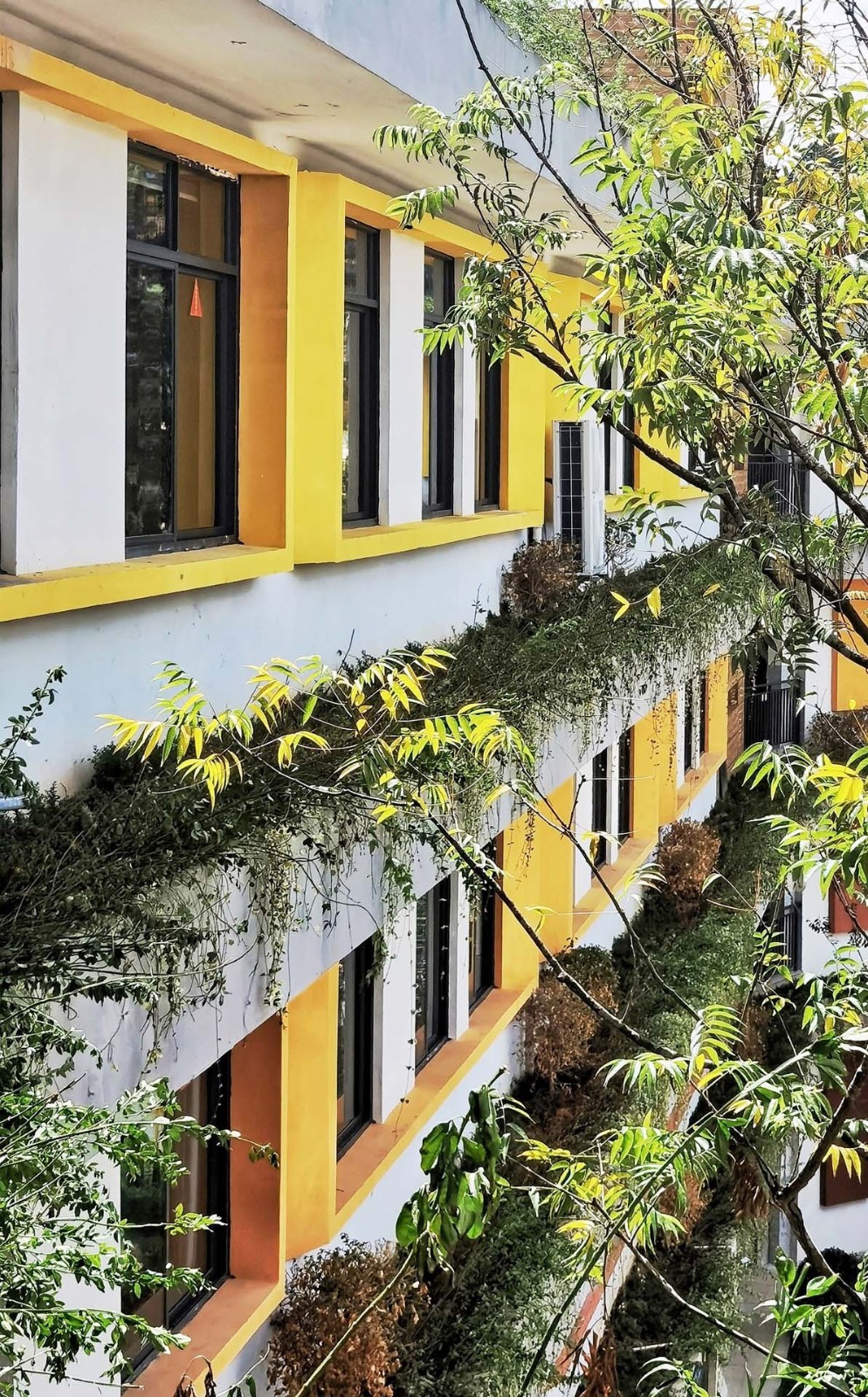 BIM建筑|云南玉溪高新小学 / Oneself Alliance