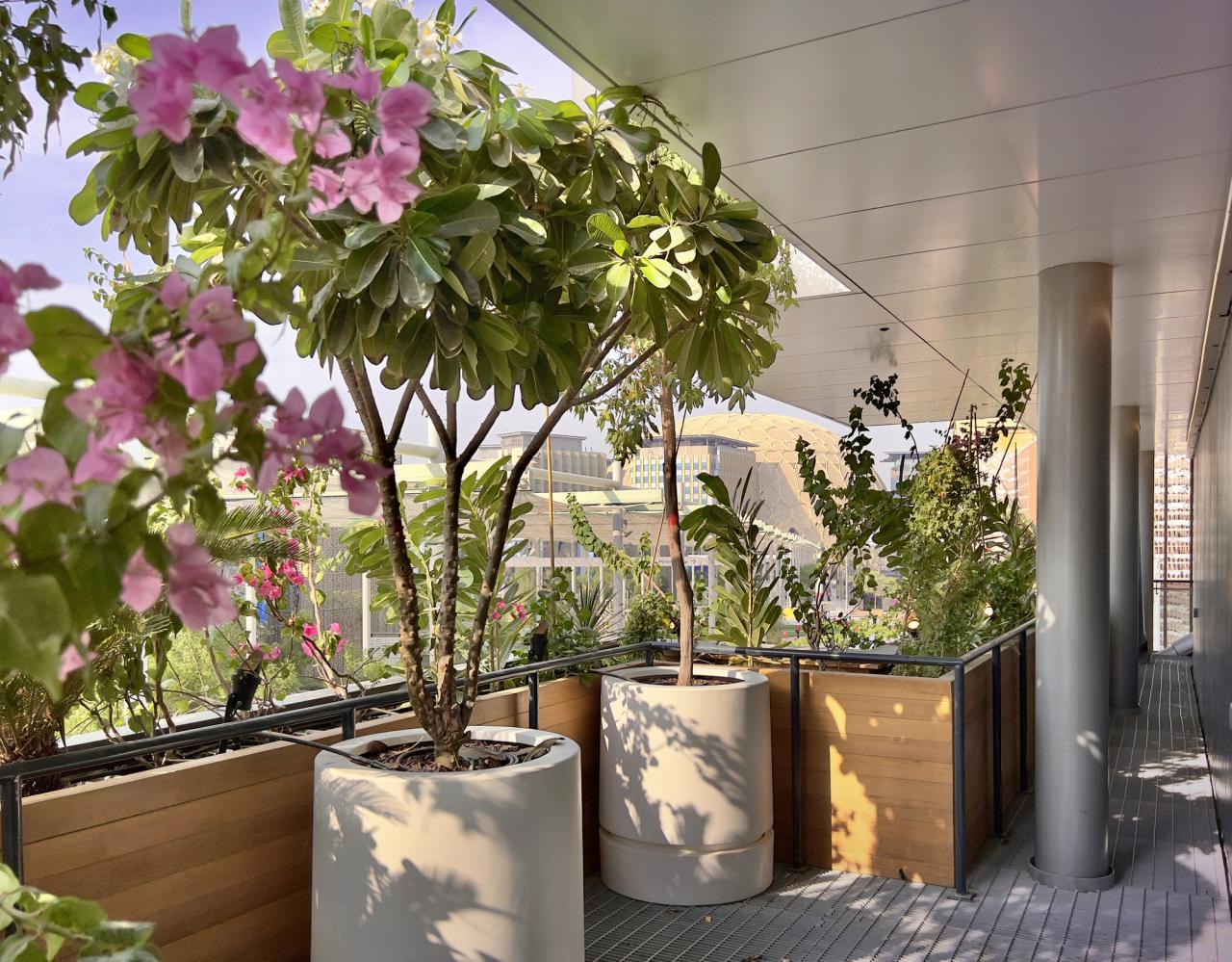 BIM建筑|2020 年迪拜世博会比利时馆 / Vincent Callebaut Architectures + assar architec