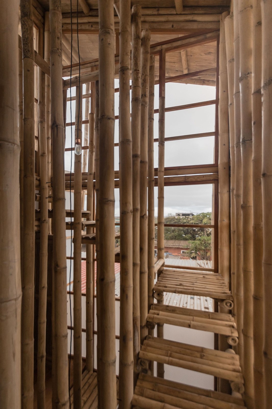 BIM建筑|地域性住宅 / ESEcolectivo