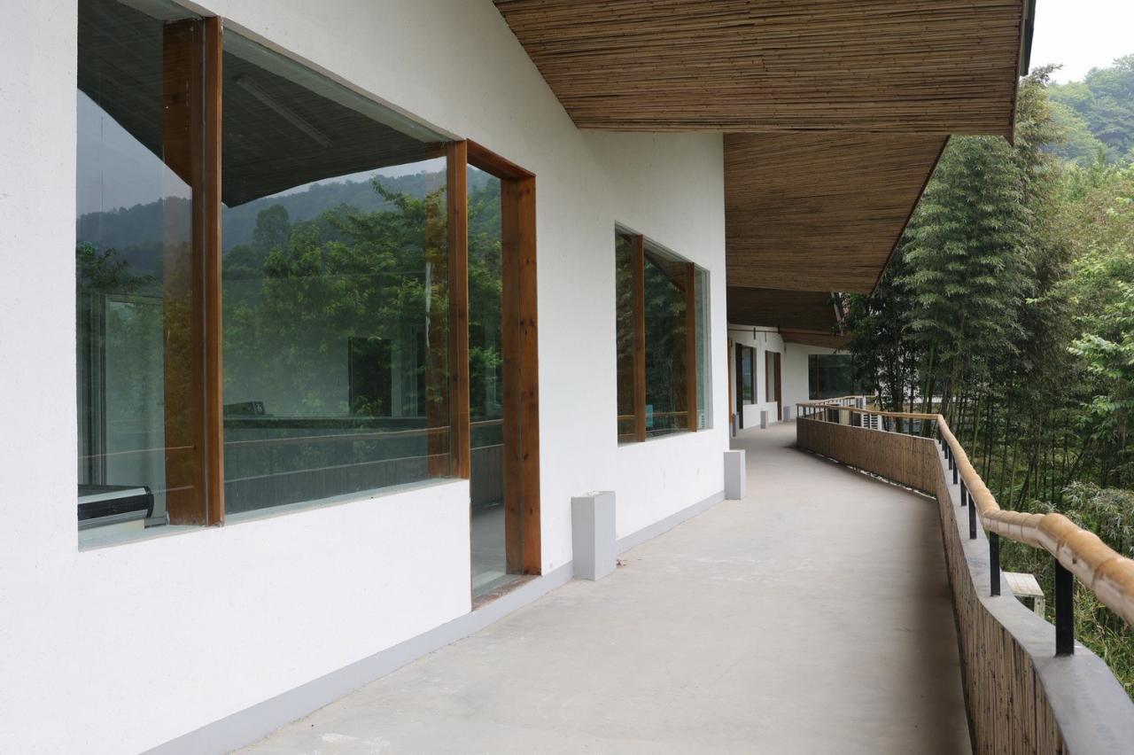 BIM建筑|在半山崖的废弃鸡棚，用峰峦“盖”一座共享工厂 / 时地建筑