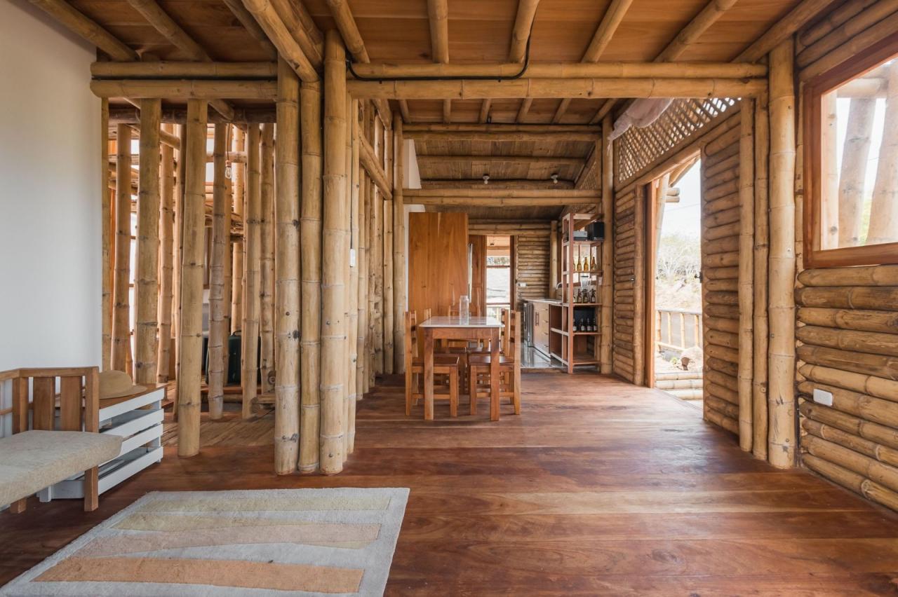 BIM建筑|地域性住宅 / ESEcolectivo