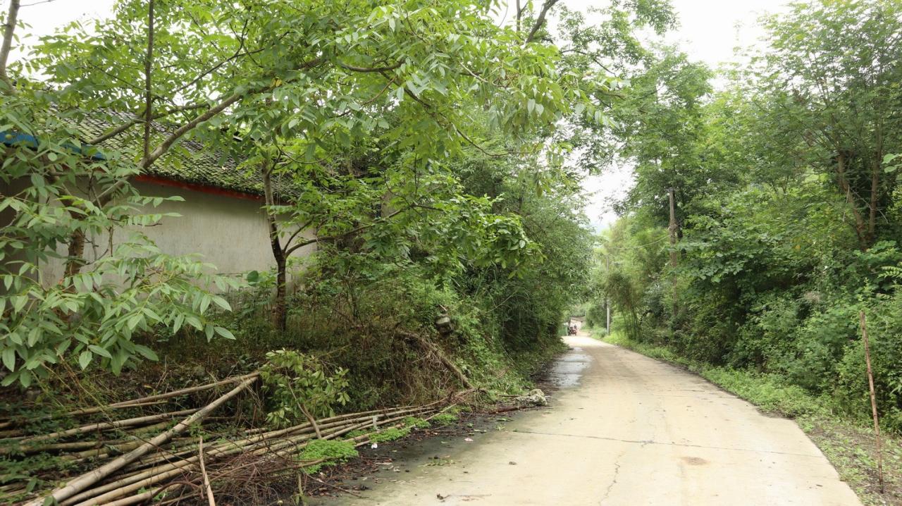 BIM建筑|在半山崖的废弃鸡棚，用峰峦“盖”一座共享工厂 / 时地建筑