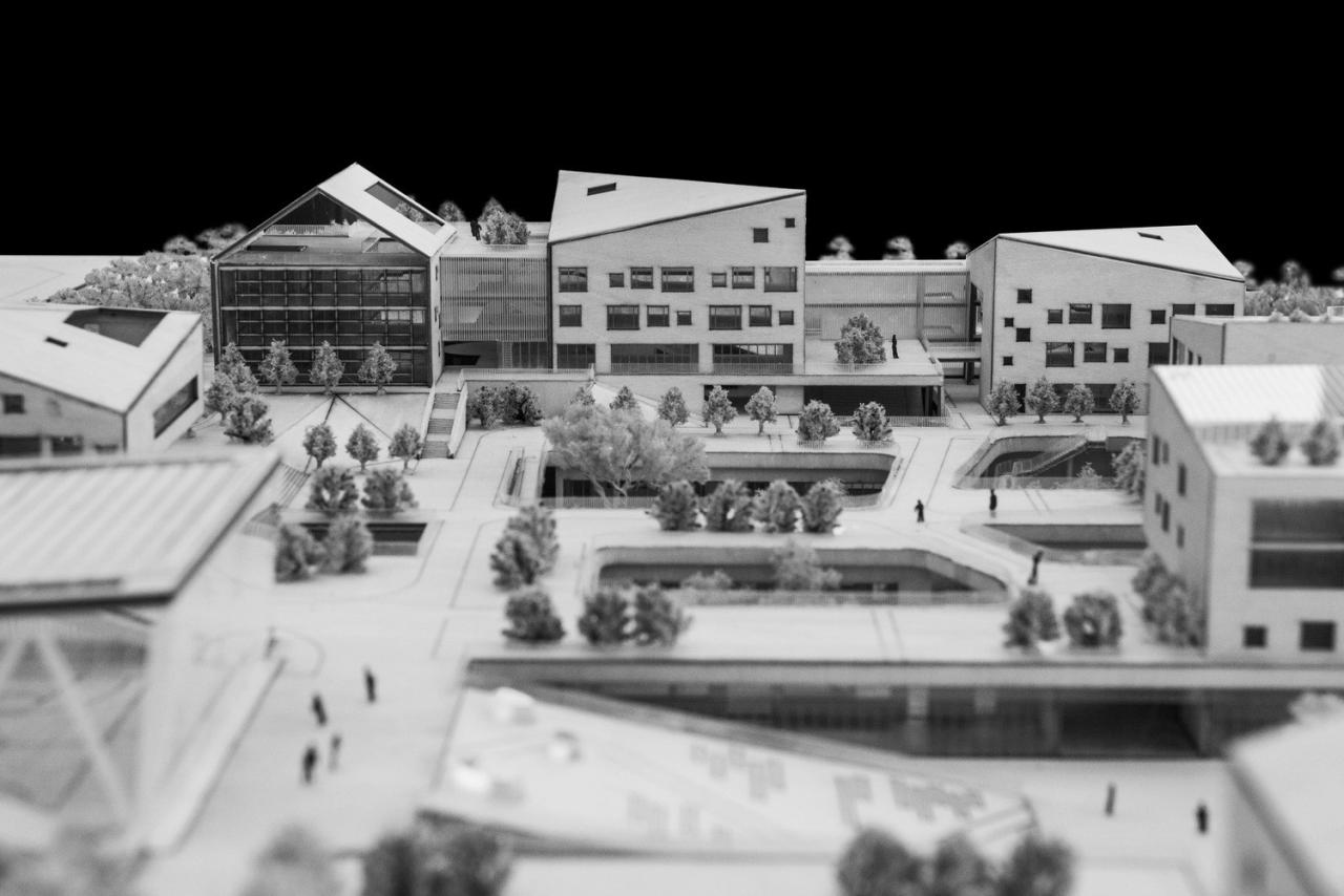 BIM建筑|重庆两江人民小学：在大自然里勇敢冒险 / gad