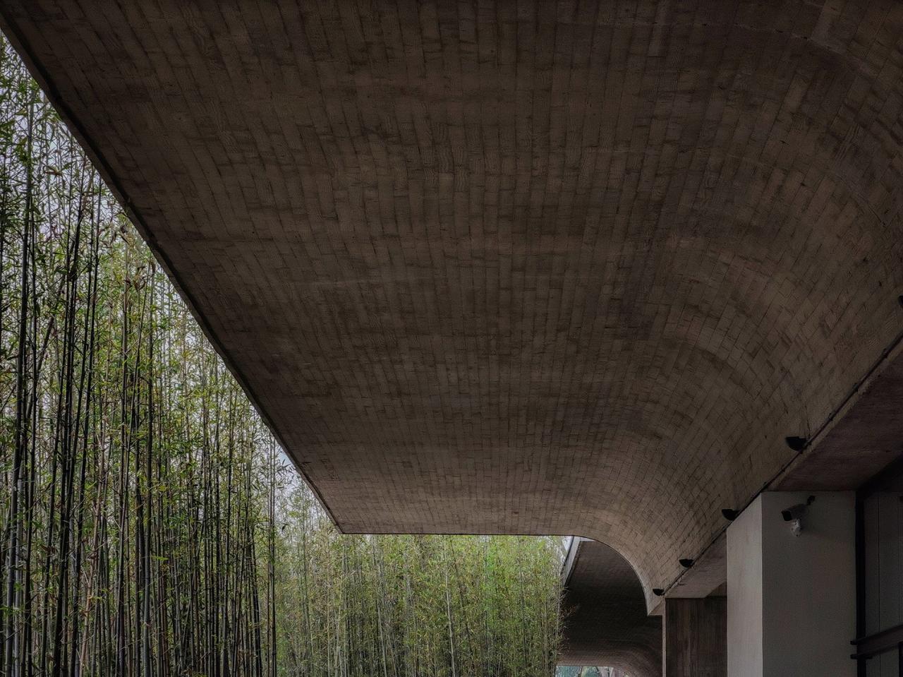 BIM建筑|中国美术学院良渚校区 / 非常建筑