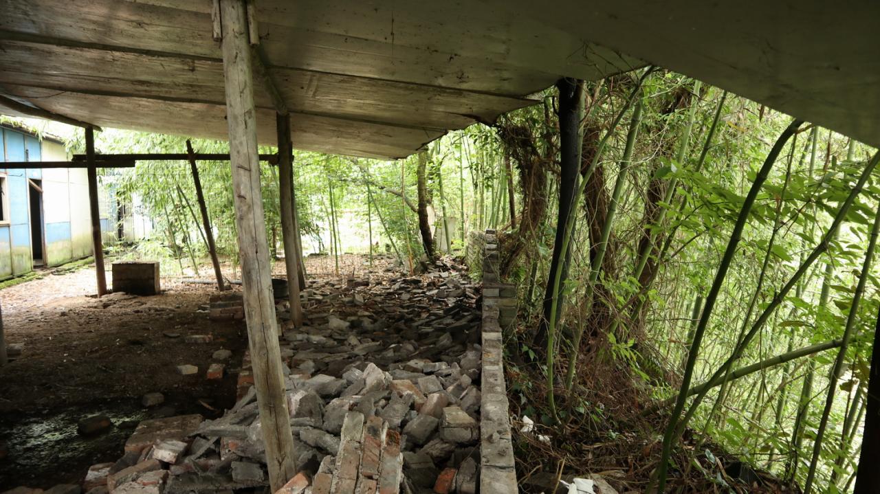 BIM建筑|在半山崖的废弃鸡棚，用峰峦“盖”一座共享工厂 / 时地建筑