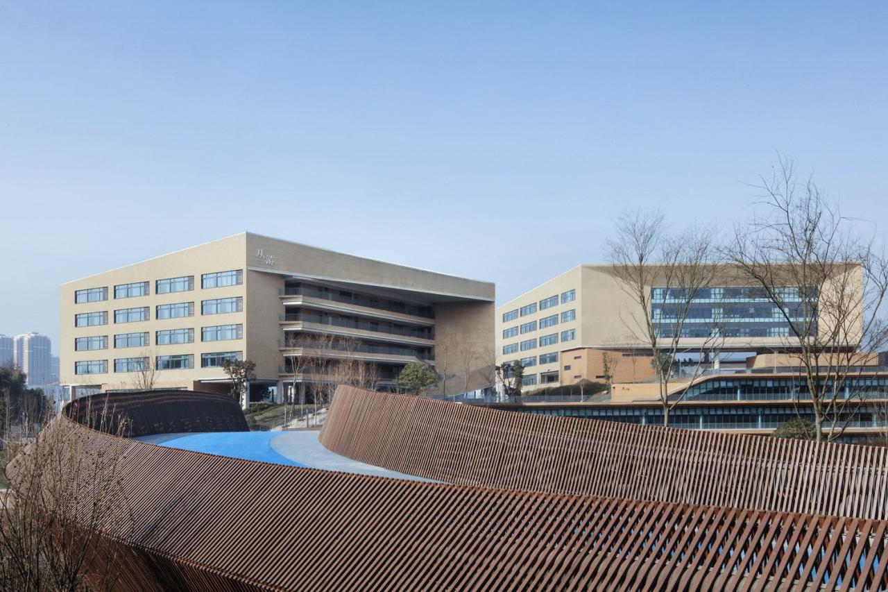 BIM建筑|西南大学附属中学两江校区：消失的高密度校园 / gad