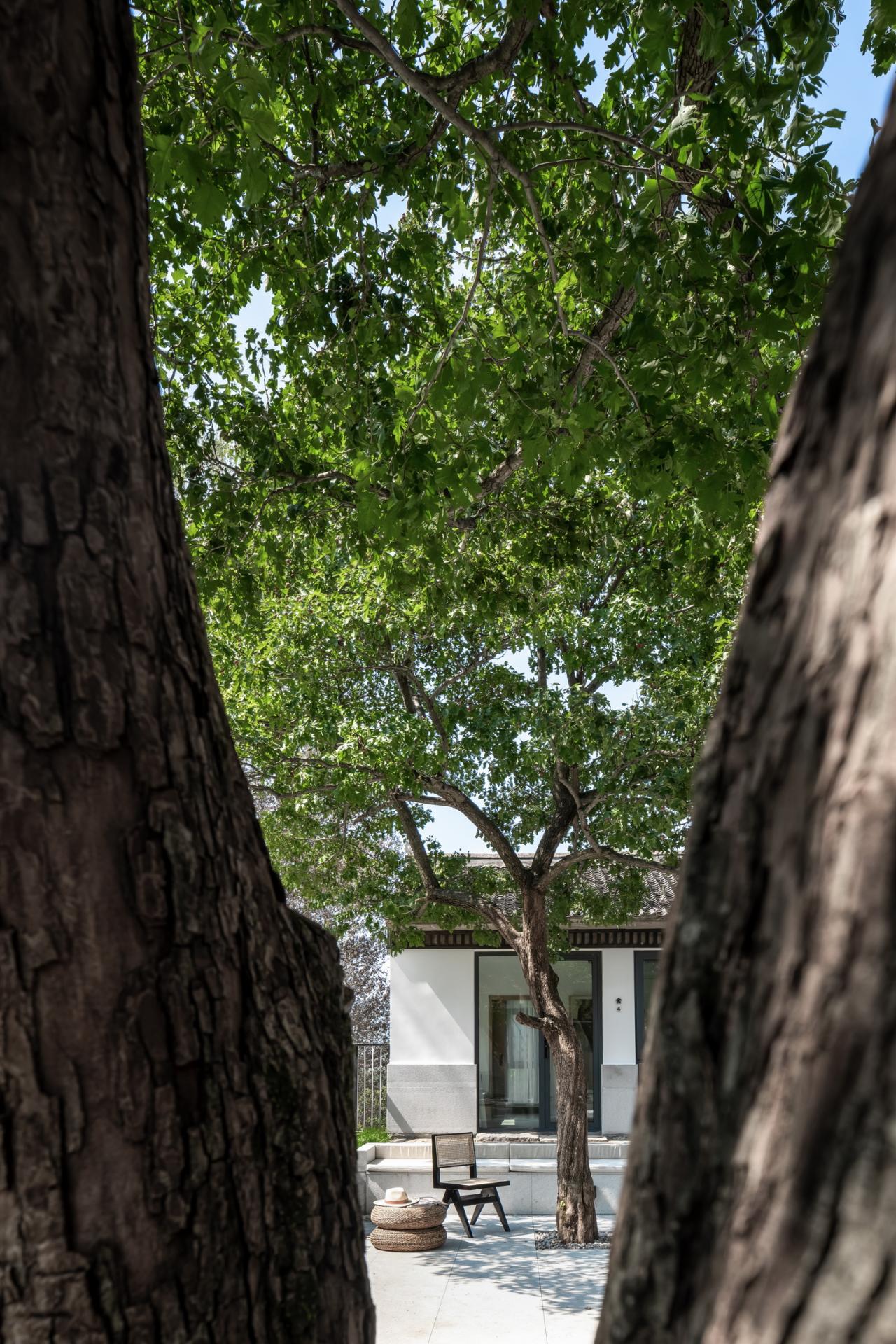 BIM建筑|隐于山岚的家——缦舍·山居精品民宿酒店 / 柒合设计