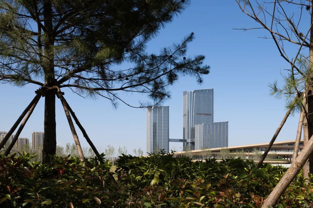 最美全运会完美收官！奥体中轴之门继续绽放新的生命力！