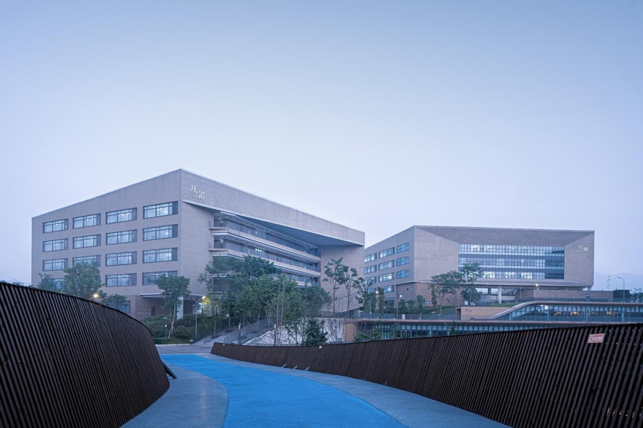 BIM建筑|西南大学附属中学两江校区：消失的高密度校园 / gad