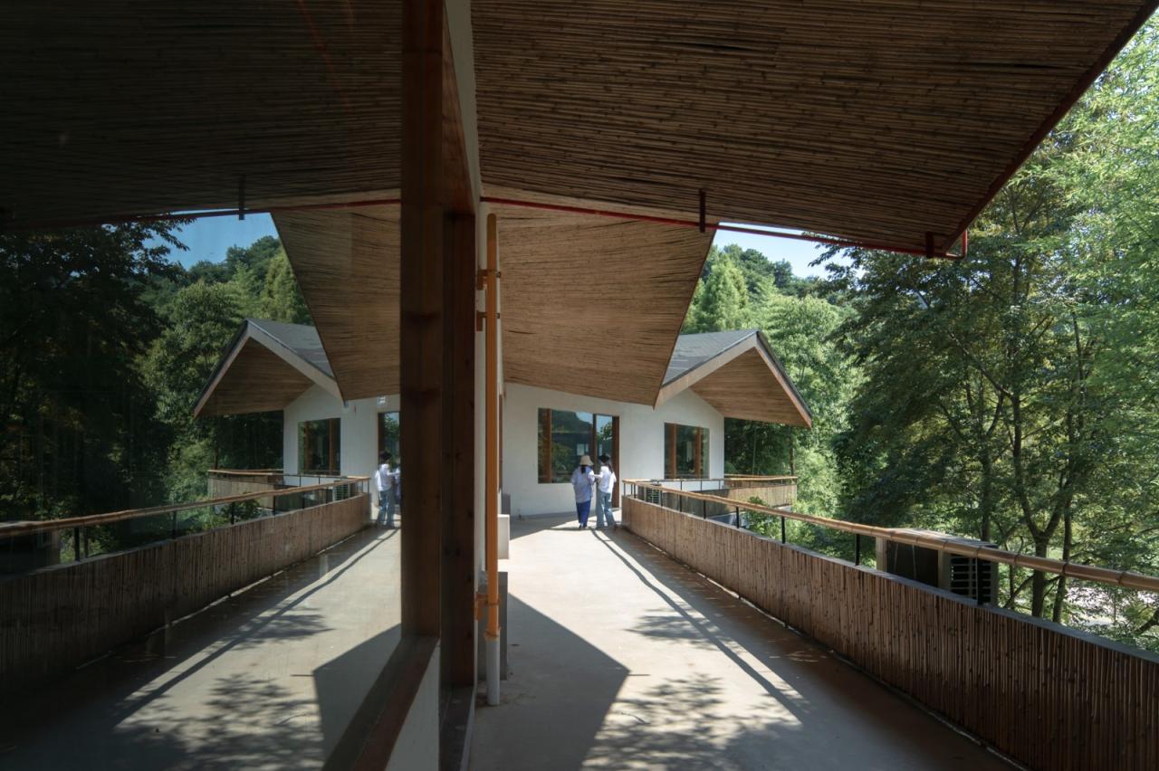 BIM建筑|在半山崖的废弃鸡棚，用峰峦“盖”一座共享工厂 / 时地建筑