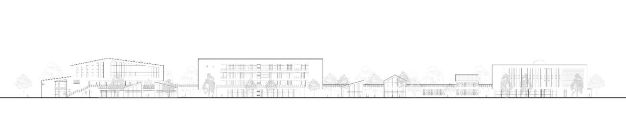 BIM建筑|树下问道，山间筑园 ——乐清市荆山公学 / 浙江大学建筑设计研究院有限公司
