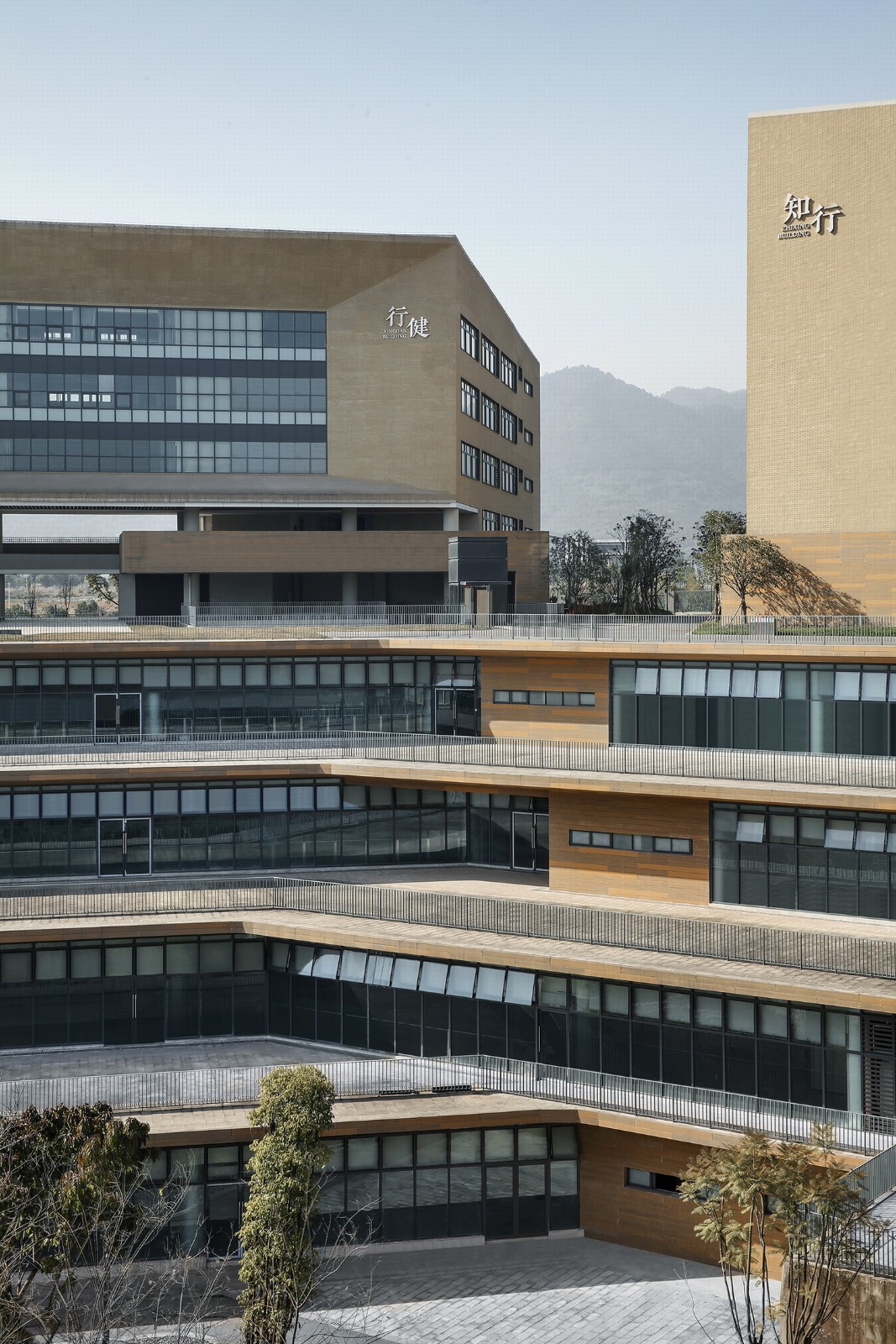 BIM建筑|西南大学附属中学两江校区：消失的高密度校园 / gad